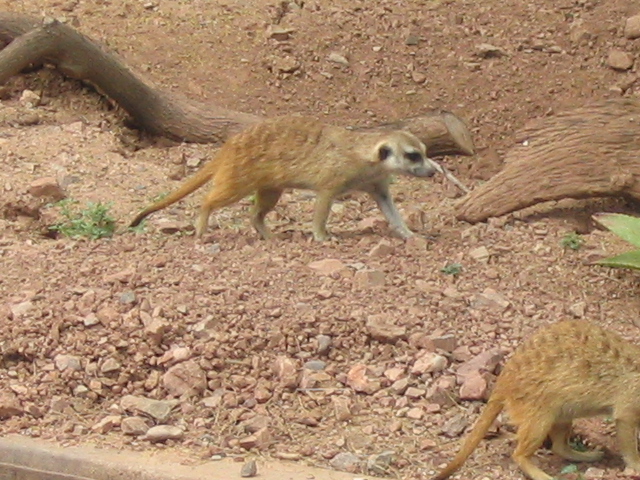 618x457 pixels (230K)